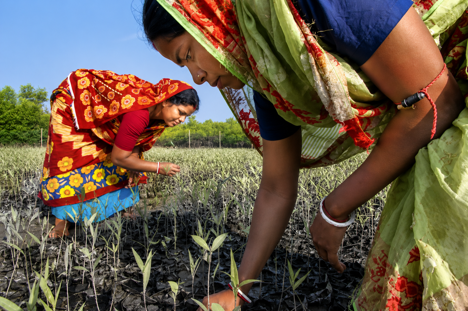मिथिलाक पर्यावरण-दर्शन — प्रकृतिसँ सह-जीवन