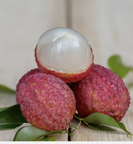 Shahi Litchi